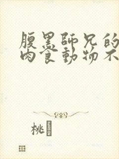 腹黑师兄的日常肉食动物不食草