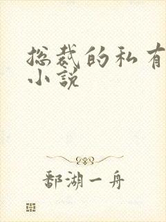 总裁的私有宝贝小说