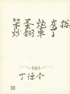 笨蛋炮灰总被爆炒翻车了