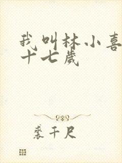 我叫林小喜今年十七岁