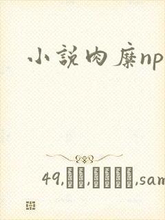 小说肉糜np
