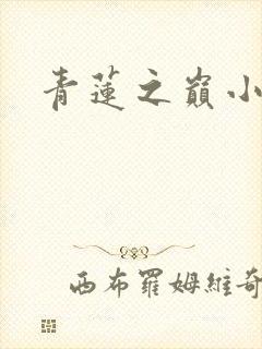 青莲之巅小说封面