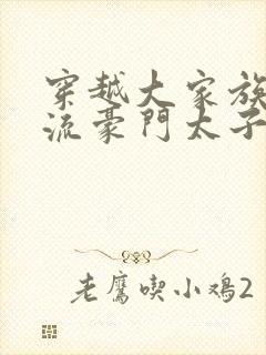 穿越大家族之风流豪门太子爷