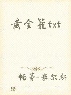 黄金笼txt