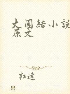 大团结小说阅读原文封面