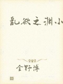 乱欲之渊小说封面