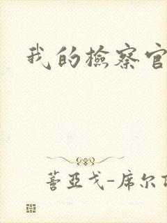 我的检察官先生