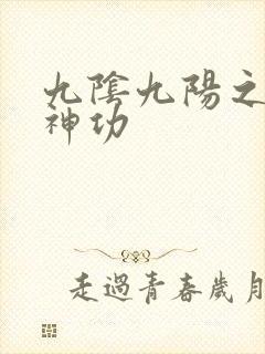 九阴九阳之阴阳神功