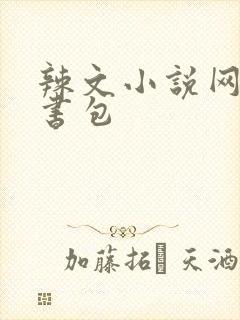 辣文小说网第二书包