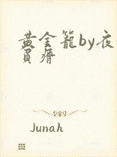 黄金笼by夜很贫瘠