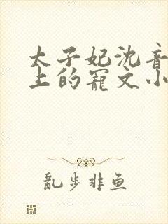 太子妃沈音和皇上的宠文小说