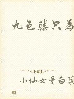 九色藤只为高清封面