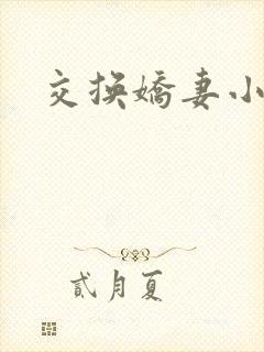 交换娇妻小说封面