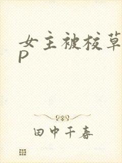 女主被校草们NP