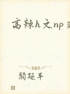 高辣h文np爽