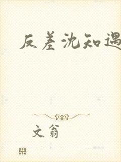 反差沈知遇晏应