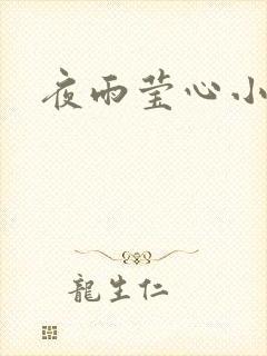 夜雨莹心小说封面