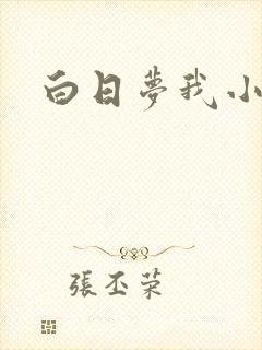 白日梦我小说