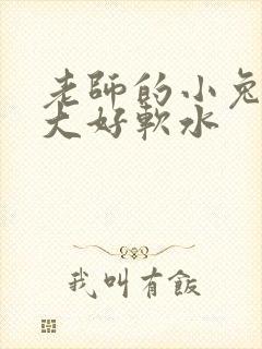 老师的小兔子好大好软水