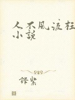 人不风流枉少年小说