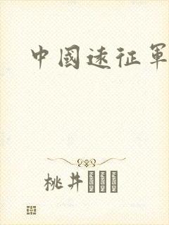 中国远征军小说