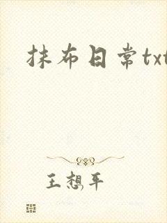 抹布日常txt封面