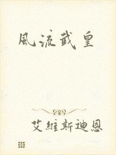 风流武皇封面