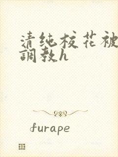 清纯校花被地狱调教h封面