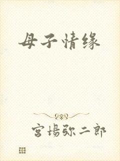 母子情缘封面