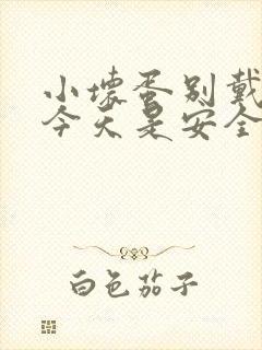 小坏蛋别戴套了今天是安全期封面