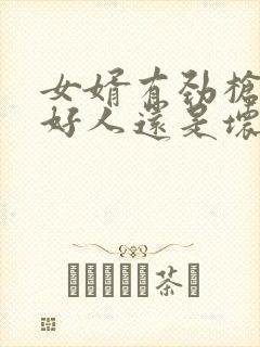 女婿有劲枪枪是好人还是坏人