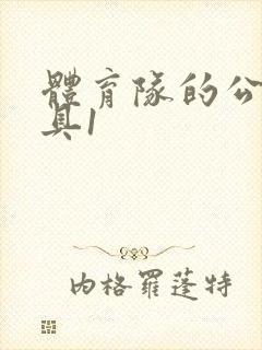 体育队的公用玩具1