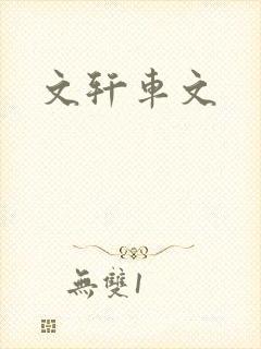 文轩车文