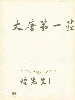 大唐第一庄封面