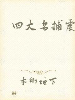 四大名捕震关东