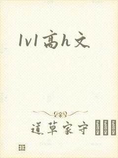1v1高h文