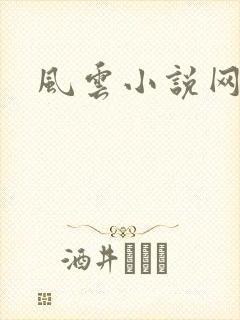 风云小说网