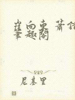 崔向东 萧错 笔趣阁