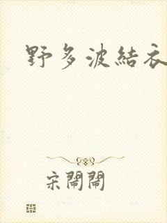 野多波结衣