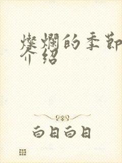 灿烂的季节剧情介绍