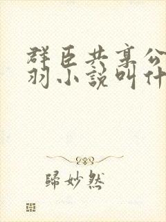 群臣共享公主银羽小说叫什么