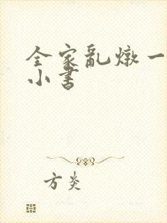 全家乱炖一锅烩小书