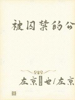 被囚禁的公主封面