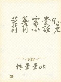 荣华富贵9小王莉莉小说免费阅读