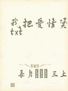 我把爱情煲成汤txt