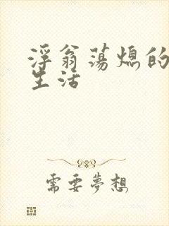 浮翁荡熄的幸福生活封面