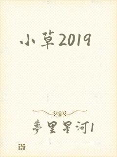 小草2019封面