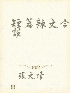 短篇辣文合集小说封面