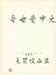 哥也爱中文封面
