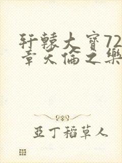 轩辕大宝720章天伦之乐